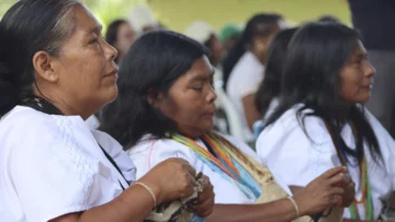 Colombia reivindica el saber indígena: el pueblo arhuaco lidera un inédito proyecto de reforestación