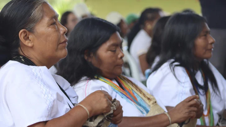 Colombia reivindica el saber indígena: el pueblo arhuaco lidera un inédito proyecto de reforestación