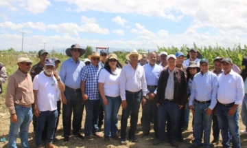Inicia veda de hospederos mosca blanca y trips en Azua hasta el 30 de septiembre