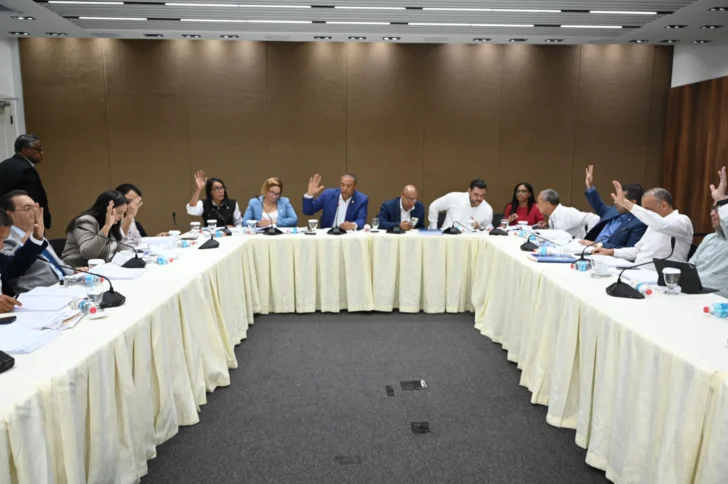 Comisión bicameral que estudia proyecto del Código Penal se declara en sesión permanente
