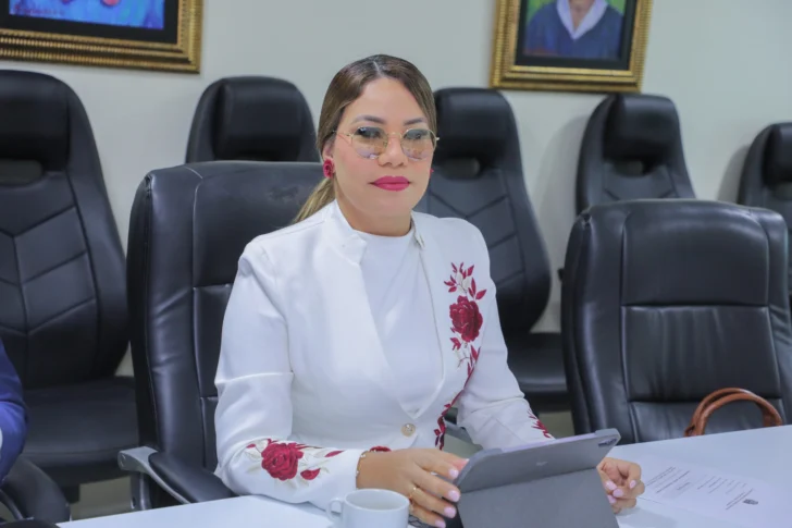 Diputada solicita energía eléctrica 24 horas para municipio cabecera de La Altagracia