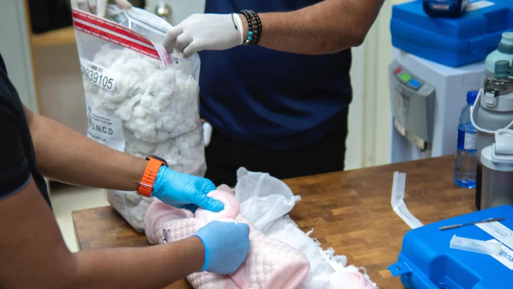 DNCD frustra envío a Australia de peluche lleno de fibras de cocaína DNCD frustra envío a Australia de peluche lleno de fibras de cocaína
