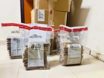 DNCD confisca 75 láminas de cocaína camufladas en cajas de tabaco