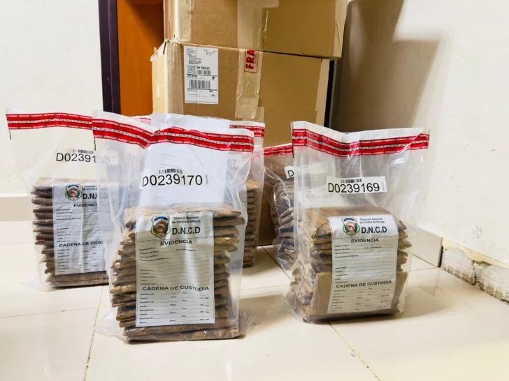 DNCD confisca 75 láminas de cocaína camufladas en cajas de tabaco
