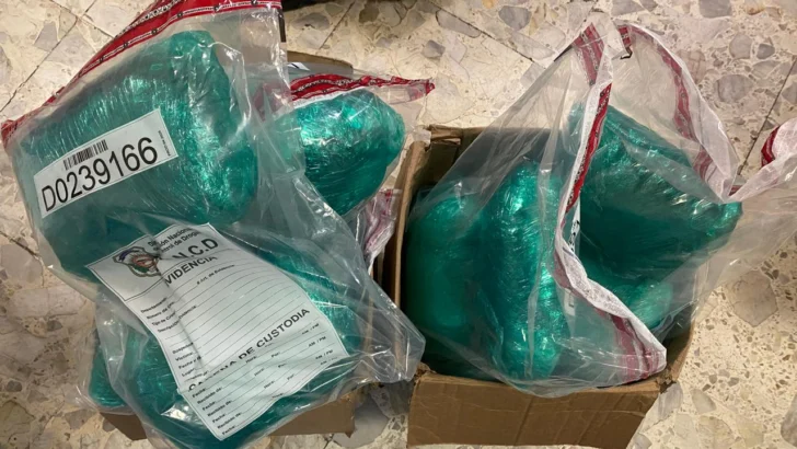 DNCD incauta 14 libras de marihuana en el AILA