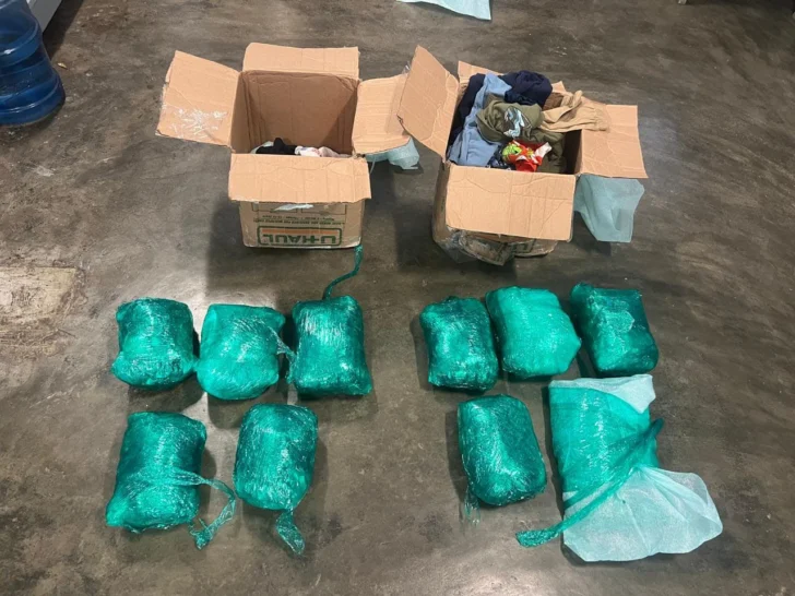 DNCD incauta 14 libras de marihuana en el AILA