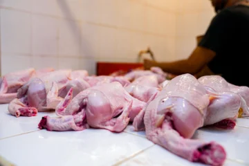 Liberan dos millones de libras de pollo para estabilizar mercado y garantizar abastecimiento Liberan dos millones de libras de pollo para estabilizar mercado y garantizar abastecimiento