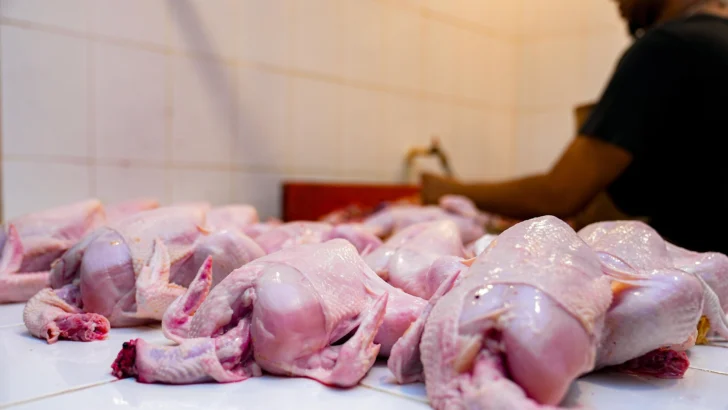 Liberan dos millones de libras de pollo para estabilizar mercado y garantizar abastecimiento