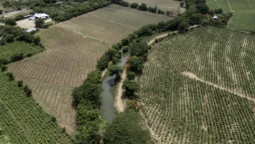 Agro, construcción, turismo: la deportación de haitianos golpea a la economía dominicana