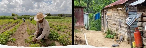 El desarrollo empieza por el campo El desarrollo empieza por el campo