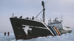El día en que el servicio secreto de Francia hundió el Rainbow Warrior, el buque de Greenpeace que protestaba contra las pruebas nucleares en el Pacífico