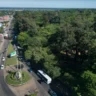 Academia de Ciencias pide reconsiderar cualquier iniciativa que implique una reducción del Jardín Botánico