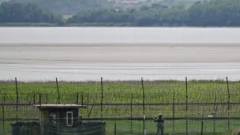 Desertor norcoreano cruza a nado a Corea del Sur agarrado a un trozo de poliestireno