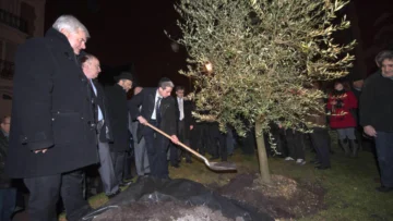 Condena de la clase política a la tala de un árbol en homenaje a un judío francés asesinado