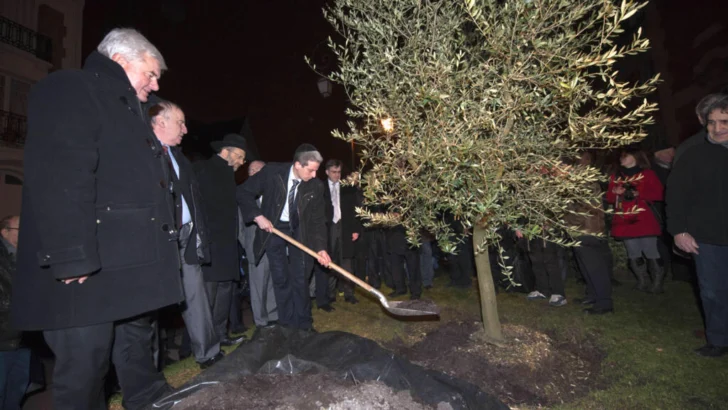 Condena de la clase política a la tala de un árbol en homenaje a un judío francés asesinado