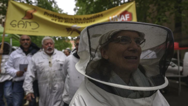 Alta instancia judicial veta polémico pesticida tras intensa campaña popular