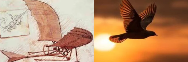 Da Vinci, de la metáfora de la máquina voladora, del vuelo de los pájaros  y otros objetos