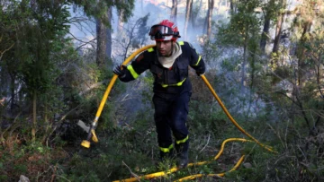 Bomberos controlan un gran incendio forestal en Francia que deja varias víctimas