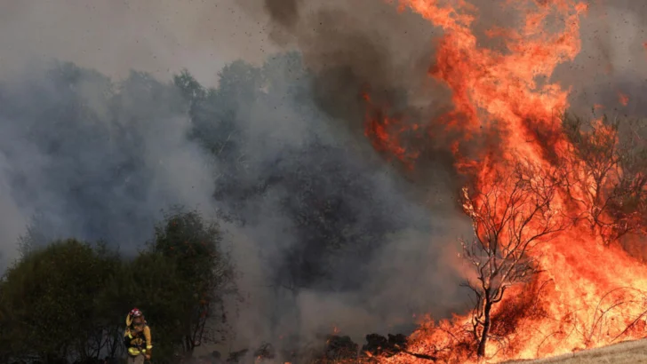 En plena ola de calor, varios muertos en España a causa de los gigantescos incendios