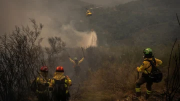 Incendios forestales en España: aumenta a cuatro la cifra de muertos, mientras las llamas se extienden
