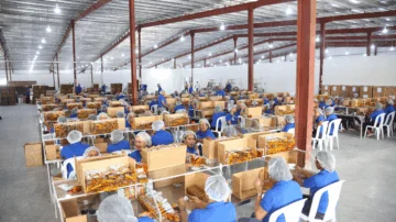 Promoción en “mano de obra barata” aleja a inversionistas que buscan manufactura avanzada