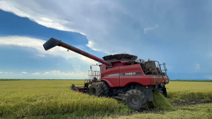 Empresas privadas de Vietnam, a la vanguardia de la inversión extranjera en la agricultura de Cuba