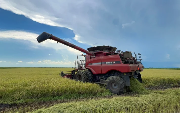 Empresas privadas de Vietnam, a la vanguardia de la inversión extranjera en la agricultura de Cuba
