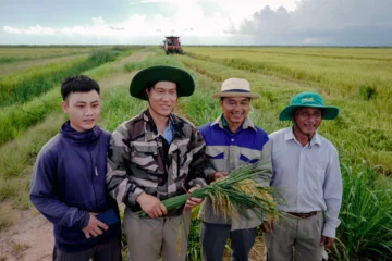  Especialistas vietnamitas posan para una foto en un arrozal vietnamita, en Los Palacios, provincia de Pinar del Río, Cuba, el 29 de mayo de 2025. El gobierno cubano cedió terrenos a una empresa vietnamita privada para la producción de arroz ante la falta de variedades productivas locales e insumos para solucionar la escasez de este cereal en la isla. El rendimiento promedio nacional de arroz es de 1,6 toneladas por hectárea, y las primeras cosechas de este plan tuvieron un rendimiento superior a las seis toneladas por hectárea. (Foto de Adalberto ROQUE / AFP)