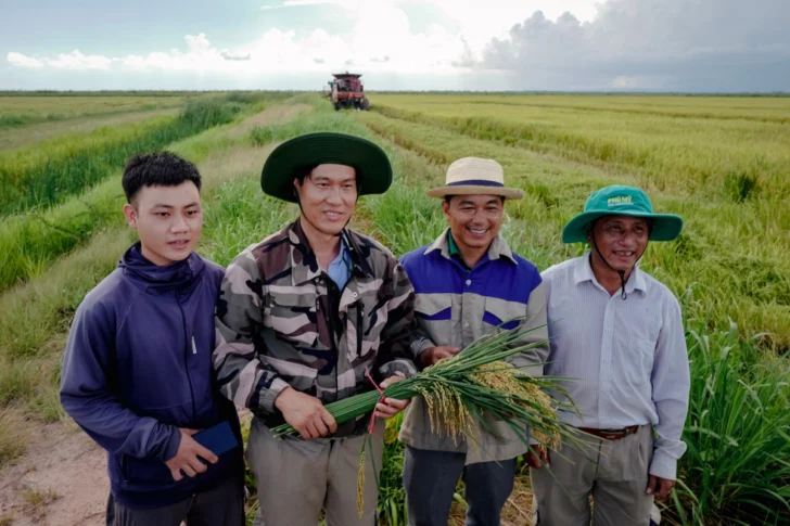  Especialistas vietnamitas posan para una foto en un arrozal vietnamita, en Los Palacios, provincia de Pinar del Río, Cuba, el 29 de mayo de 2025. El gobierno cubano cedió terrenos a una empresa vietnamita privada para la producción de arroz ante la falta de variedades productivas locales e insumos para solucionar la escasez de este cereal en la isla. El rendimiento promedio nacional de arroz es de 1,6 toneladas por hectárea, y las primeras cosechas de este plan tuvieron un rendimiento superior a las seis toneladas por hectárea. (Foto de Adalberto ROQUE / AFP)