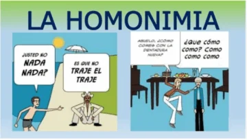¿Es cierto que la homonimia implica un riesgo de ambigüedad que debe ser evitado?