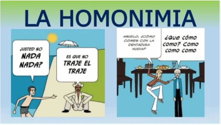 ¿Es cierto que la homonimia implica un riesgo de ambigüedad que debe ser evitado?