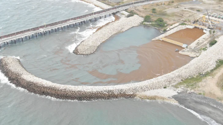 Unidad 1 de Punta Catalina salió de operación por obstrucción de sargazo
