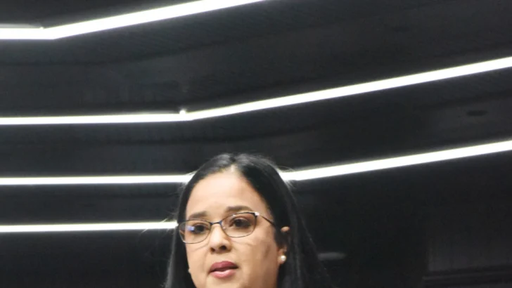 Diputada Caty Díaz alcanza 100% de asistencia su trabajo Diputada Caty Díaz alcanza 100% de asistencia su trabajo