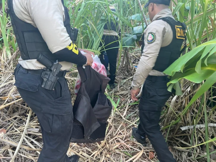 Incautan más de 141 mil gramos de diferentes drogas Incautan más de 141 mil gramos de diferentes drogas