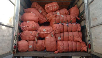 Incautados en imprenta 70 mil textos escolares falsificados y asimismo mochilas, loncheras y cartucheras