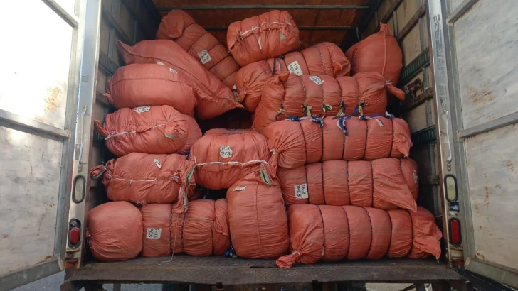 Incautados en imprenta 70 mil textos escolares falsificados y asimismo mochilas, loncheras y cartucheras Incautados en imprenta 70 mil textos escolares falsificados y asimismo mochilas, loncheras y cartucheras