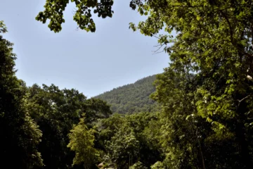 Rostros de tierra, alma del surco 