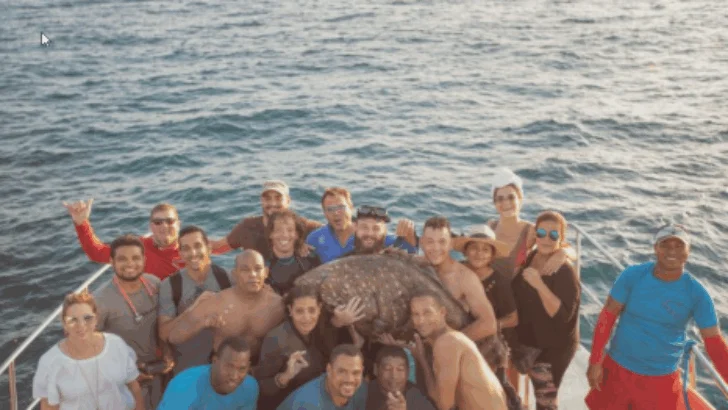 Películas dominicanas a cartelera de agosto 2025 a febrero 2026
