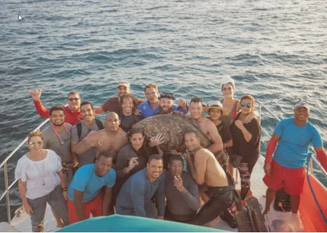 Películas dominicanas a cartelera de agosto 2025 a febrero 2026