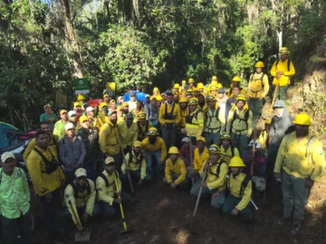 Medio Ambiente informa que incendio en Loma del Oro quedó totalmente liquidado