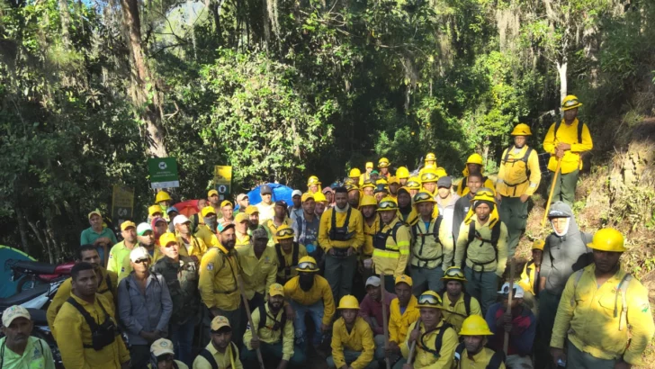 Medio Ambiente informa que incendio en Loma del Oro quedó totalmente liquidado