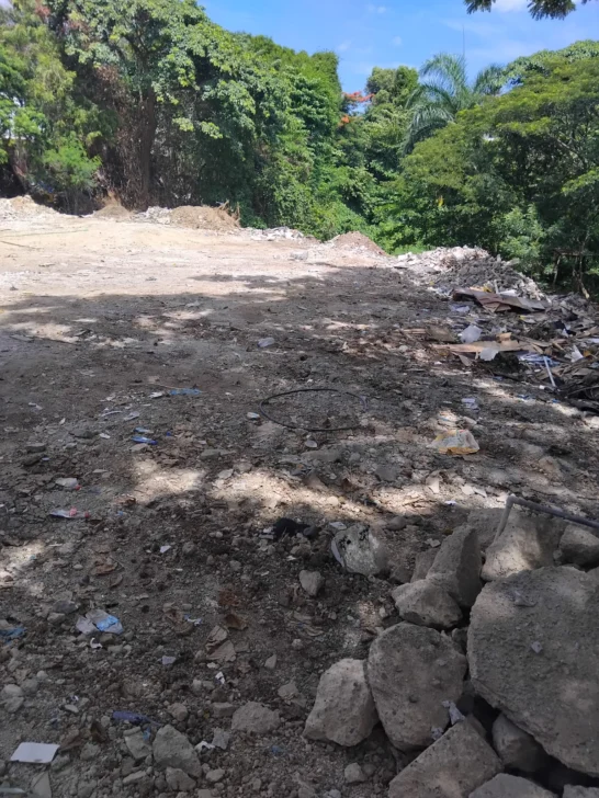 Organización ambiental denuncia destrucción de humedales declarados refugio de vida silvestre