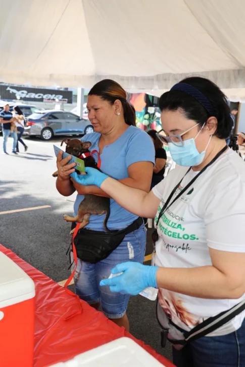 Realizan jornada de vacunación canina en Constanza Realizan jornada de vacunación canina en Constanza