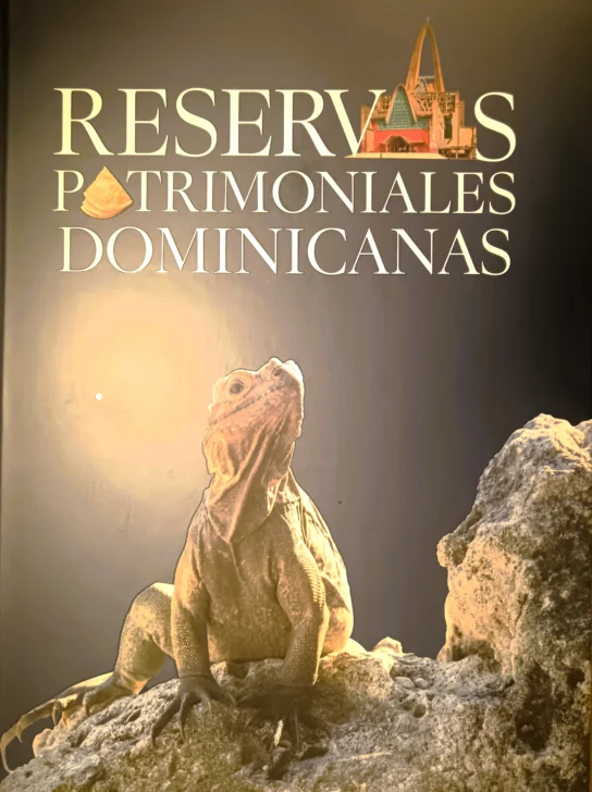 Patrimonios, San Cristóbal e Identidad