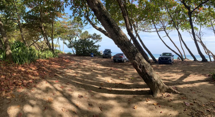 Inversionista estadounidense denuncia bloqueo a millonaria inversión turística en Puerto Plata