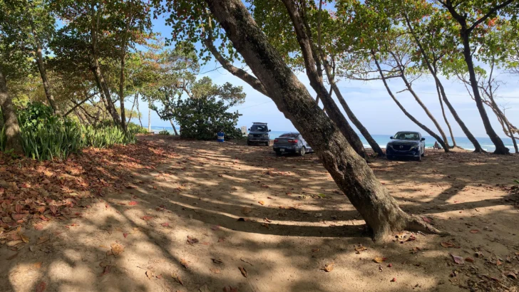 Inversionista estadounidense denuncia bloqueo a millonaria inversión turística en Puerto Plata Inversionista estadounidense denuncia bloqueo a millonaria inversión turística en Puerto Plata