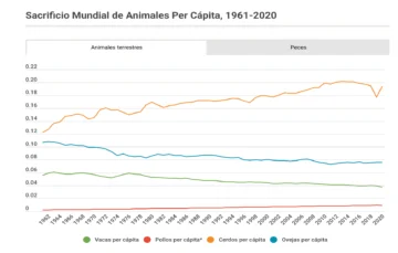 Bígaro, entre los 73 mil, 162 millones de animales sacrificados por año