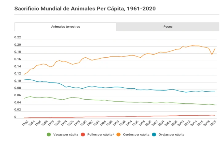 Bígaro, entre los 73 mil, 162 millones de animales sacrificados por año Bígaro, entre los 73 mil, 162 millones de animales sacrificados por año
