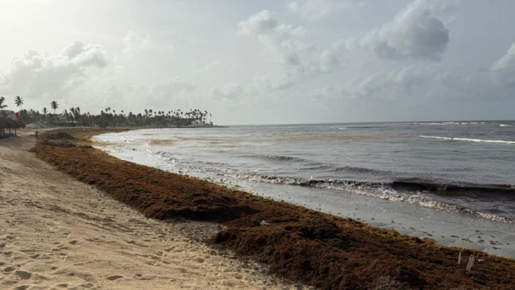 Sargazo, una invasión natural que amenaza el medioambiente y la salud en RD