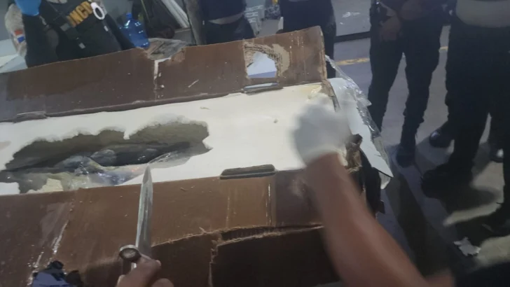 DNCD confisca 58 kilogramos de cocaína camuflados en cajas de pescado